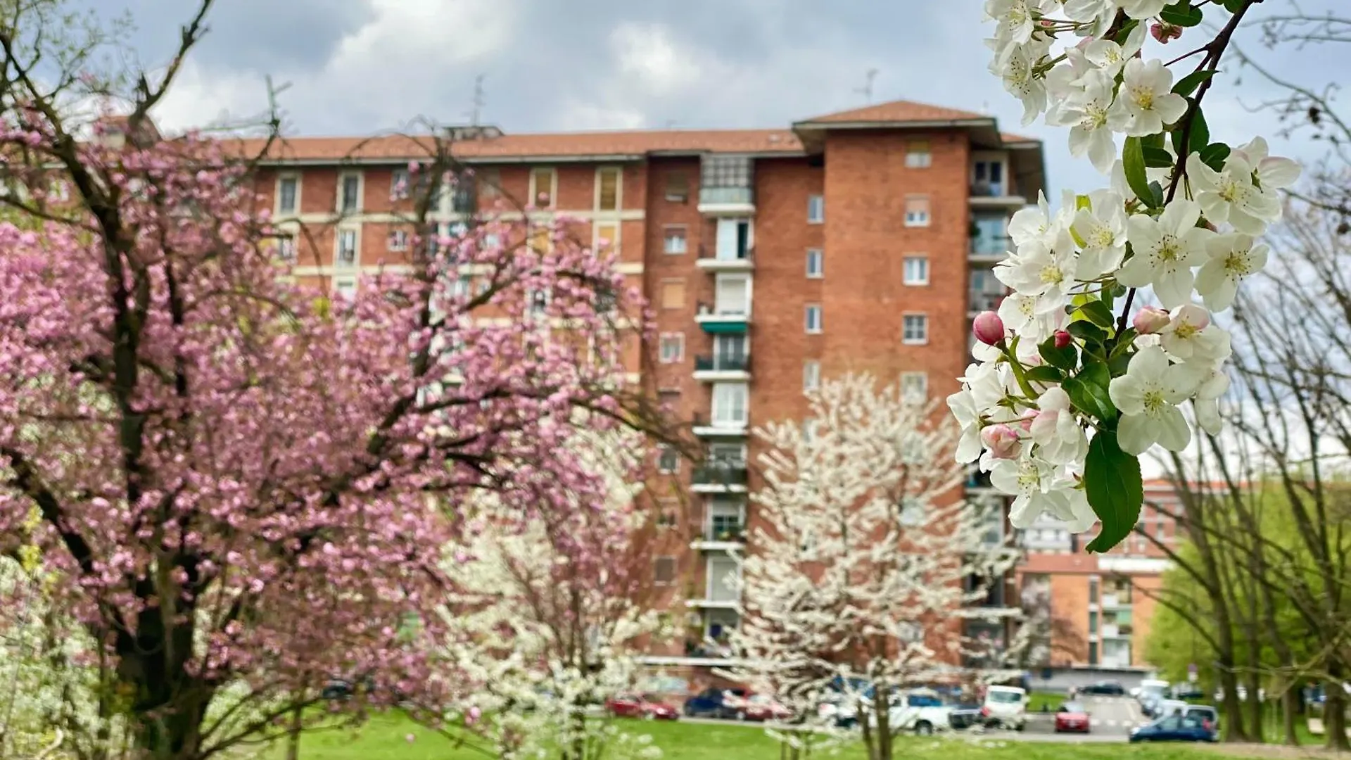 Cosy And Lovely Flat With View On Nature Milan Apartment